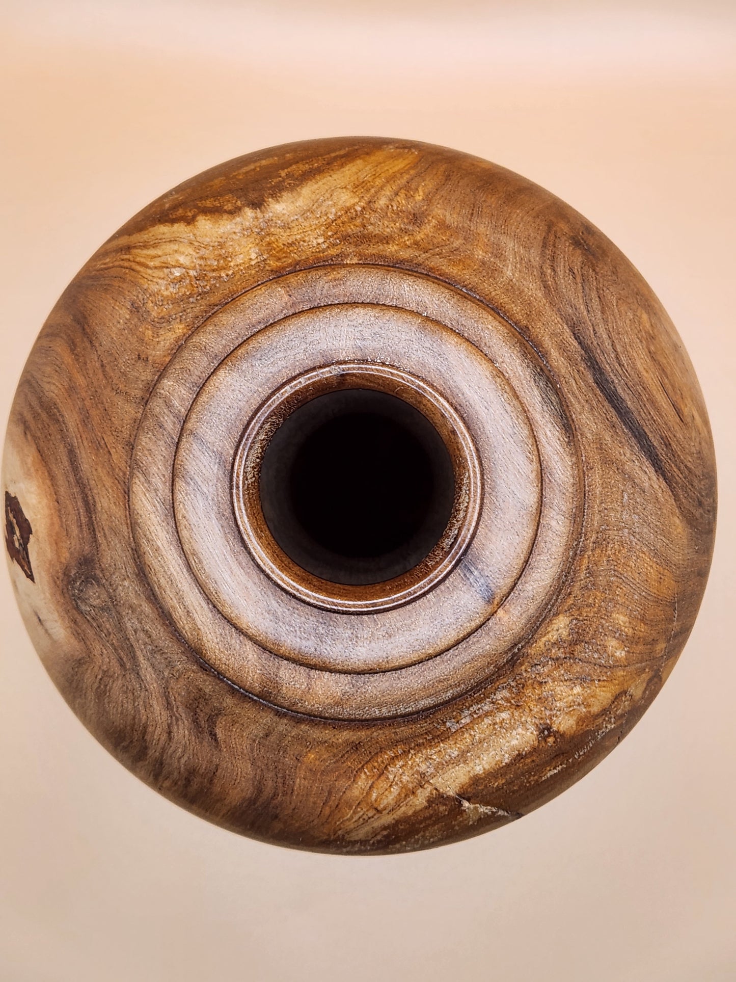 Study of Ironwood #1 - Decor