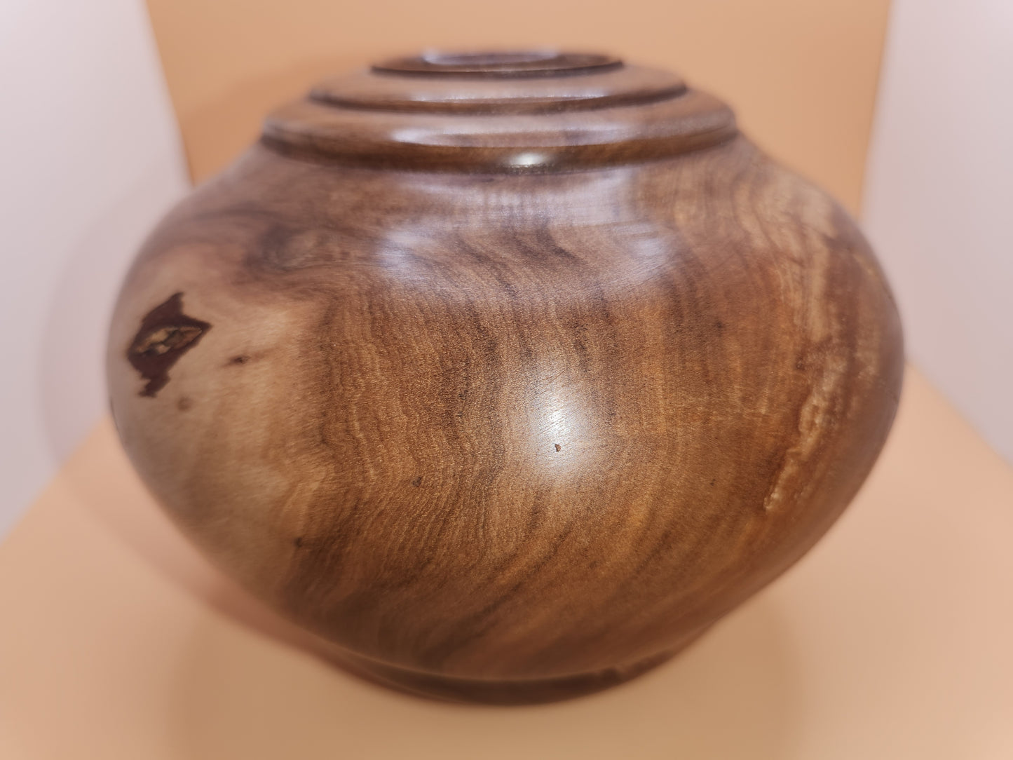 Study of Ironwood #1 - Decor