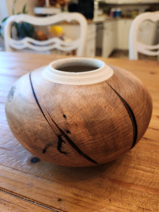 Maple Hollow Form - Decor