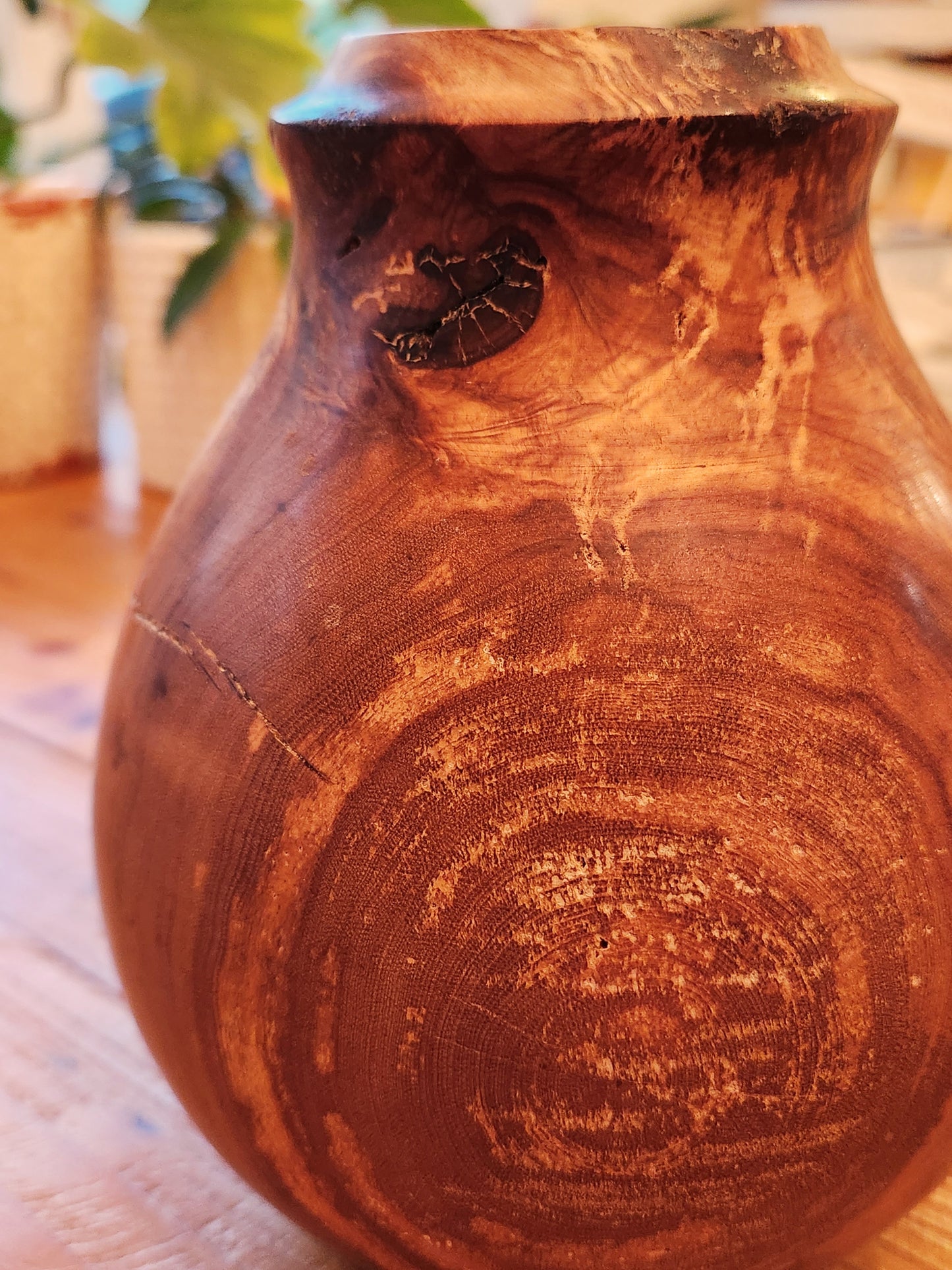 Study of Ironwood #3 - Decor