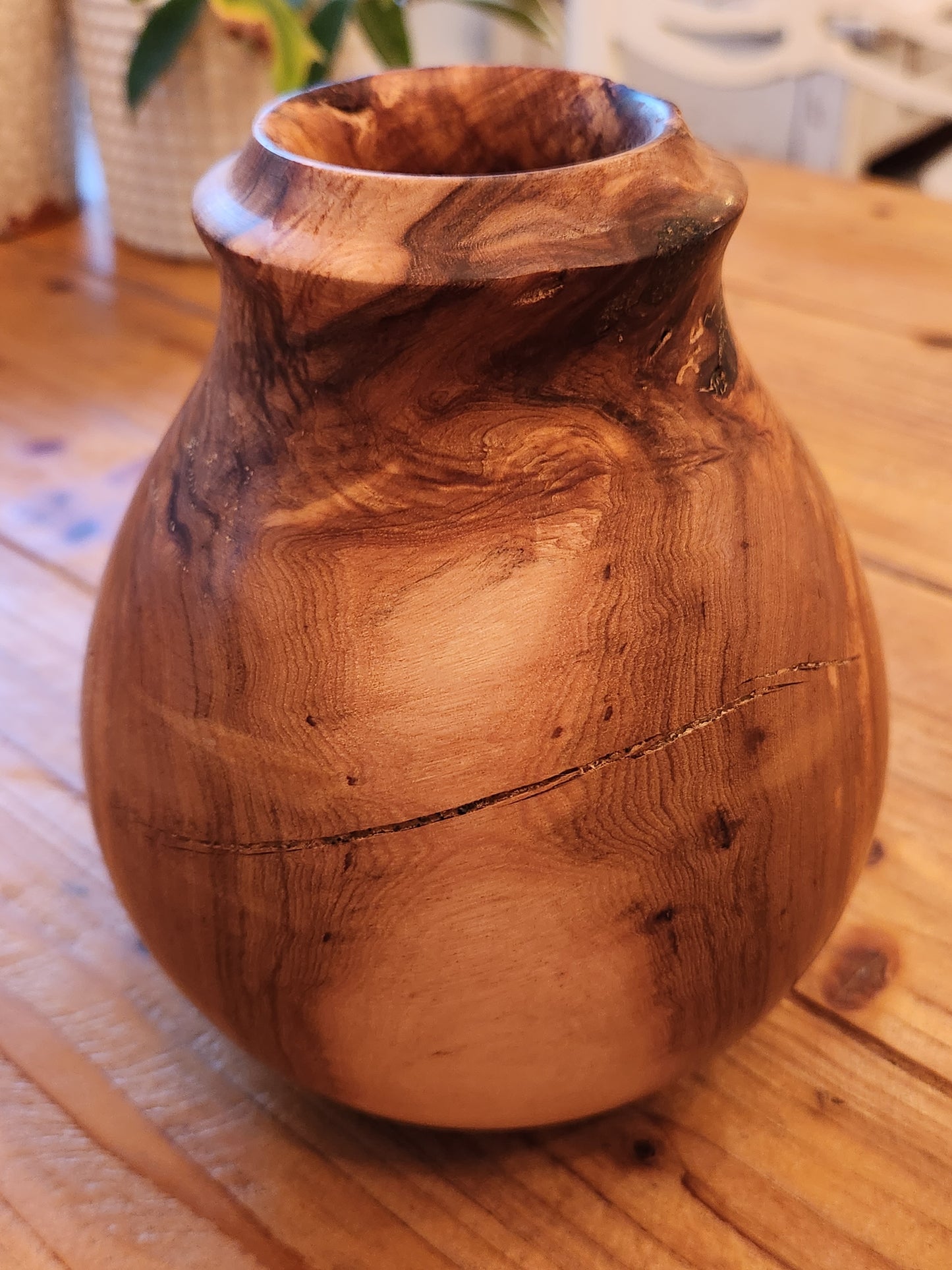 Study of Ironwood #3 - Decor