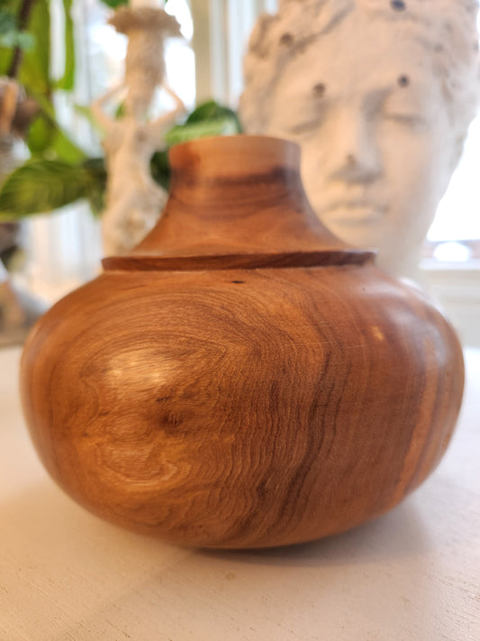 Study of Ironwood #4 - Decor